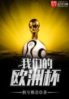 our euro cup